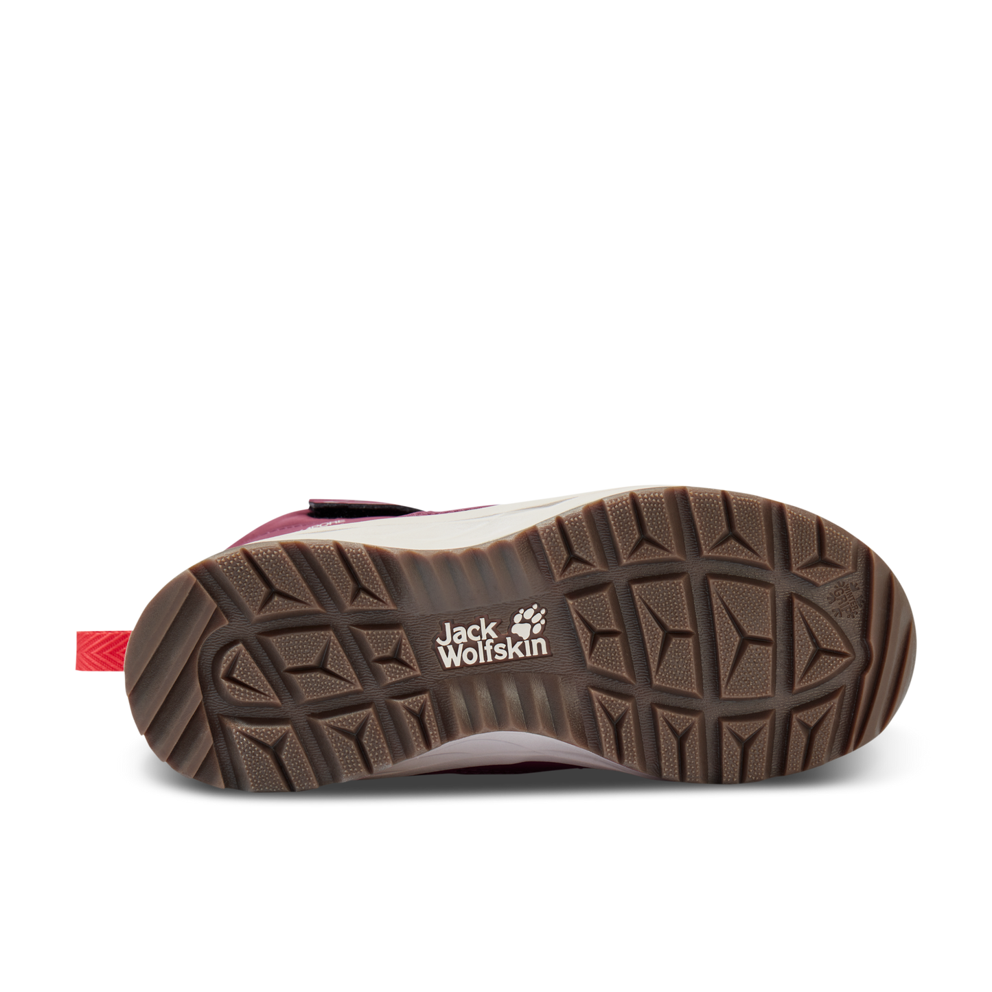 POLAR BEAR-G TEXAPORE HIGH VC K
